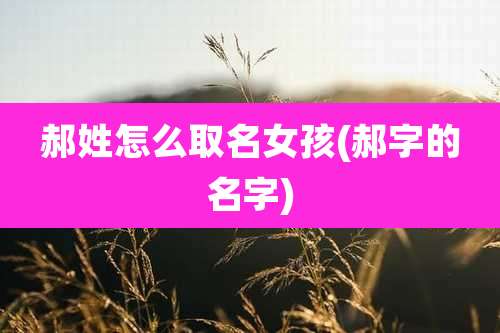 郝姓怎么取名女孩(郝字的名字)