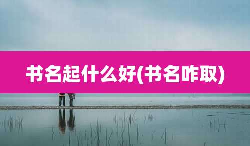 书名起什么好(书名咋取)