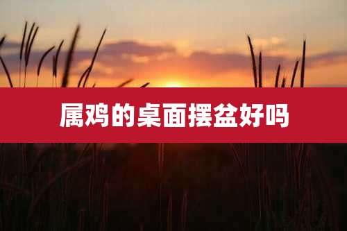 属鸡的桌面摆盆好吗