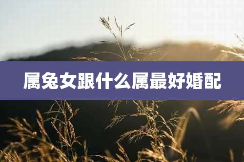 属兔女跟什么属最好婚配