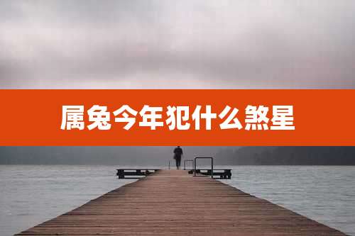 属兔今年犯什么煞星