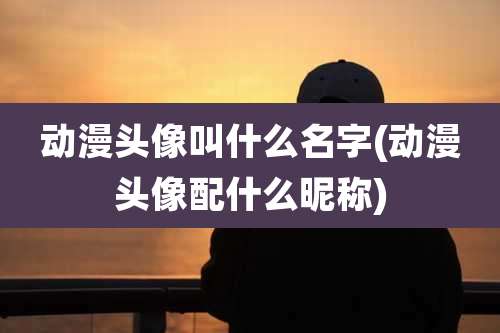 动漫头像叫什么名字(动漫头像配什么昵称)