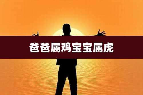 爸爸属鸡宝宝属虎