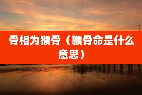 骨相为猴骨（猴骨命是什么意思）