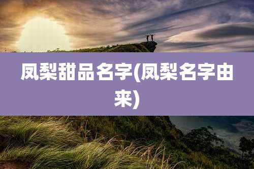 凤梨甜品名字(凤梨名字由来)