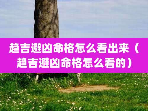 趋吉避凶命格怎么看出来(趋吉避凶命格怎么看的)