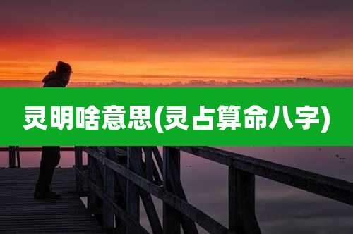 灵明啥意思(灵占算命八字)