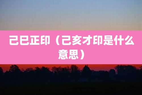 己巳正印（己亥才印是什么意思）