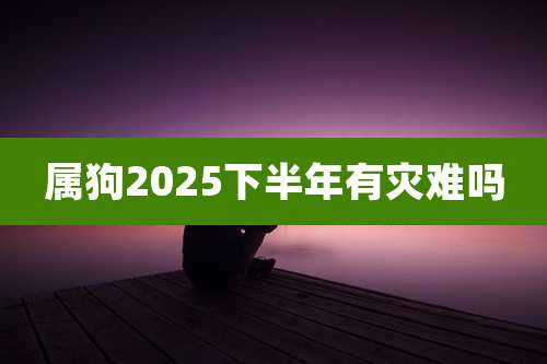 属狗2025下半年有灾难吗