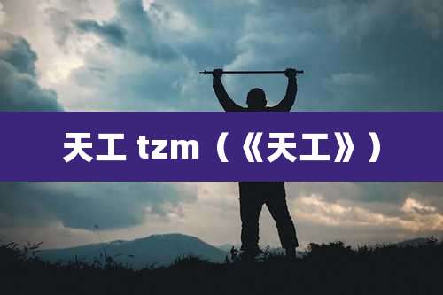 天工 tzm（《天工》）
