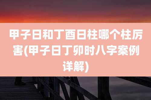 甲子日和丁酉日柱哪个柱厉害(甲子日丁卯时八字案例详解)