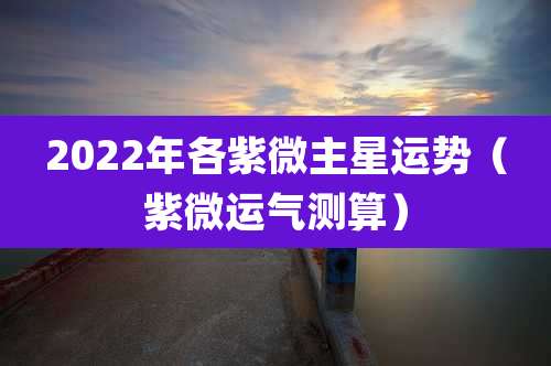 2022年各紫微主星运势（紫微运气测算）