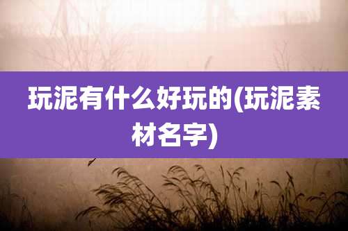 玩泥有什么好玩的(玩泥素材名字)