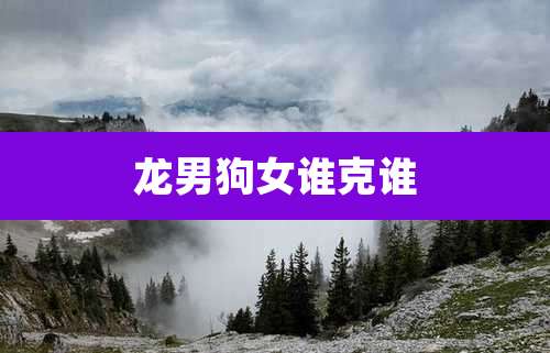 龙男狗女谁克谁