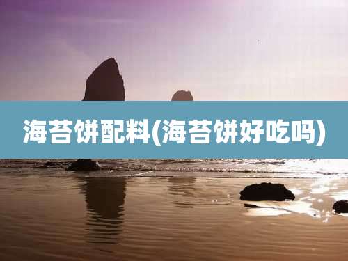 海苔饼配料(海苔饼好吃吗)