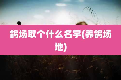 鸽场取个什么名字(养鸽场地)