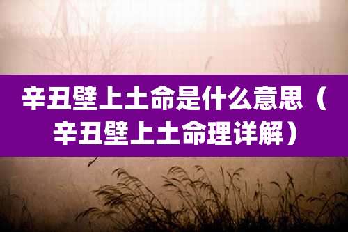 辛丑壁上土命是什么意思（辛丑壁上土命理详解）