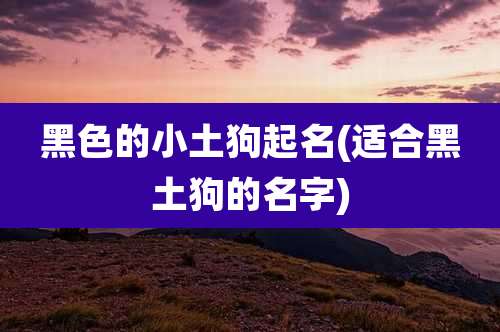 黑色的小土狗起名(适合黑土狗的名字)