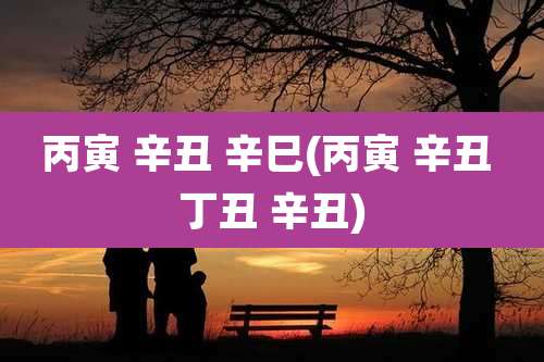 丙寅 辛丑 辛巳(丙寅 辛丑 丁丑 辛丑)