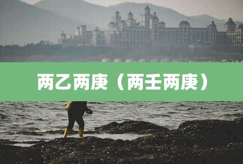 两乙两庚(两壬两庚)