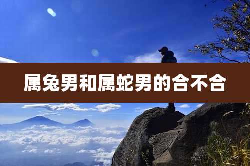 属兔男和属蛇男的合不合