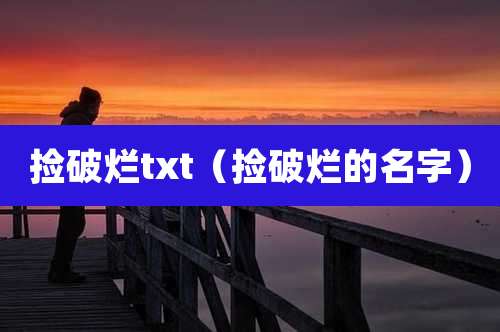 捡破烂txt（捡破烂的名字）