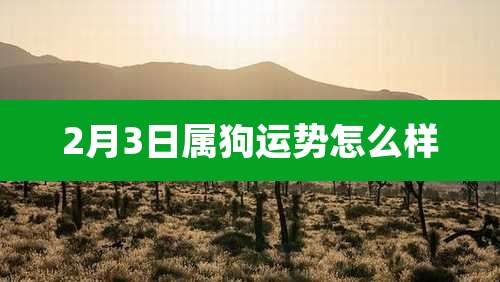 2月3日属狗运势怎么样