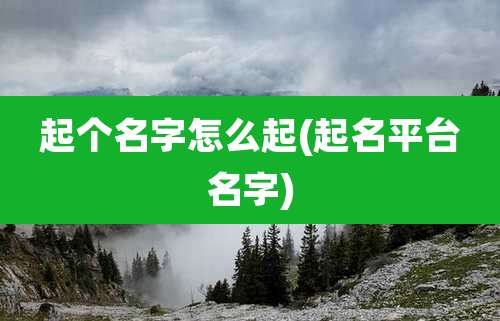 起个名字怎么起(起名平台名字)