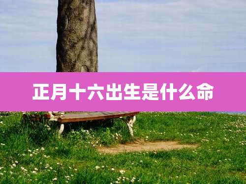 正月十六出生是什么命
