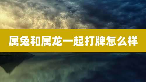属兔和属龙一起打牌怎么样