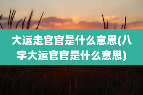 大运走官官是什么意思(八字大运官官是什么意思)
