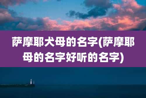 萨摩耶犬母的名字(萨摩耶母的名字好听的名字)