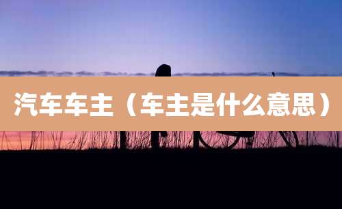 汽车车主（车主是什么意思）