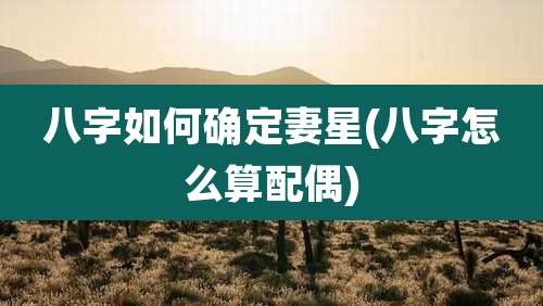 八字如何确定妻星(八字怎么算配偶)