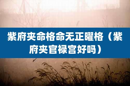 紫府夹命格命无正曜格（紫府夹官禄宫好吗）