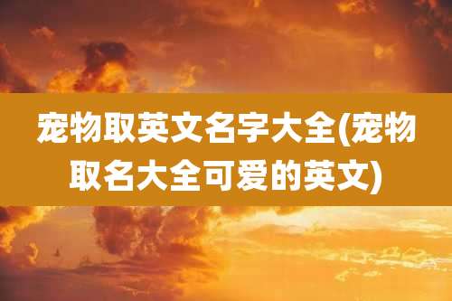 宠物取英文名字大全(宠物取名大全可爱的英文)