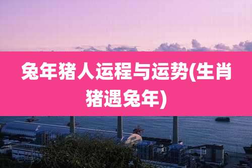 兔年猪人运程与运势(生肖猪遇兔年)