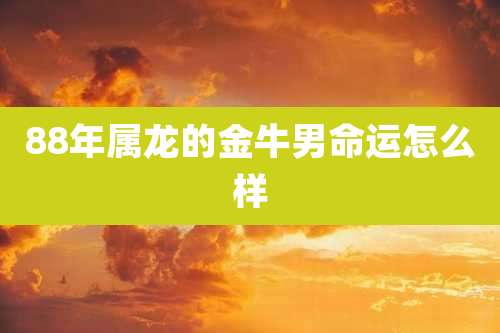 88年属龙的金牛男命运怎么样