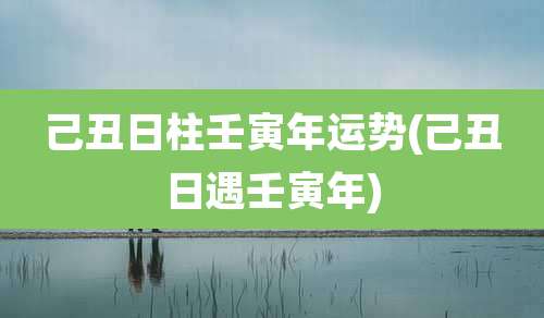 己丑日柱壬寅年运势(己丑日遇壬寅年)