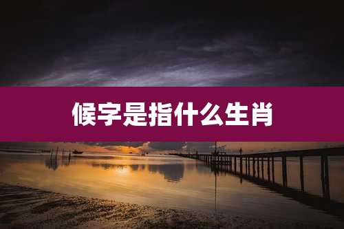 候字是指什么生肖