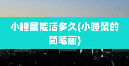 小睡鼠能活多久(小睡鼠的简笔画)