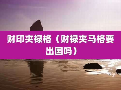 财印夹禄格（财禄夹马格要出国吗）