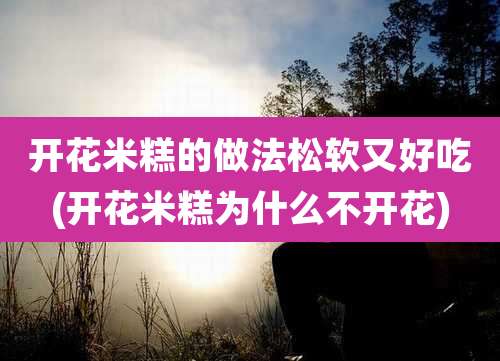 开花米糕的做法松软又好吃(开花米糕为什么不开花)