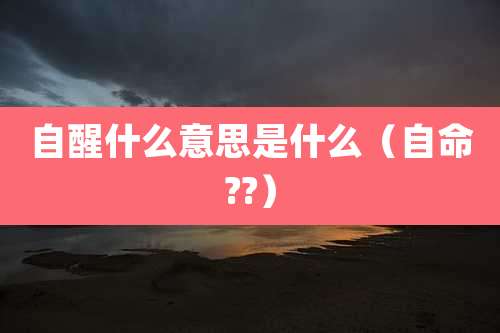 自醒什么意思是什么（自命??）