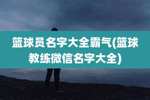 篮球员名字大全霸气(篮球教练微信名字大全)