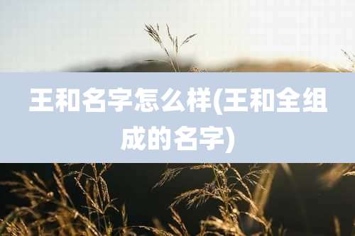 王和名字怎么样(王和全组成的名字)