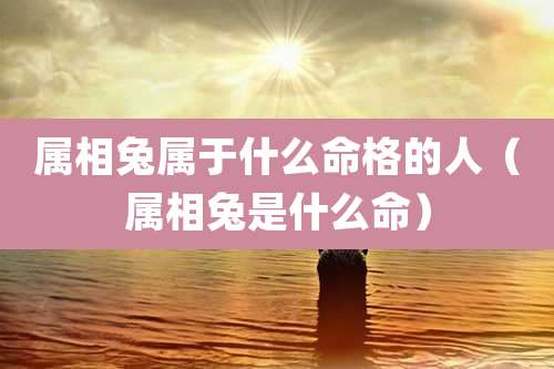 属相兔属于什么命格的人（属相兔是什么命）