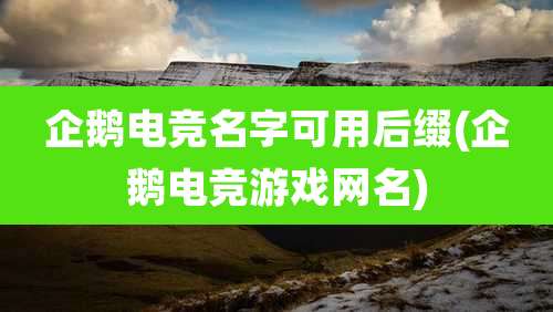 企鹅电竞名字可用后缀(企鹅电竞游戏网名)