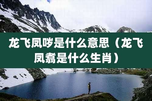 龙飞凤哕是什么意思（龙飞凤翥是什么生肖）