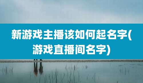 新游戏主播该如何起名字(游戏直播间名字)
